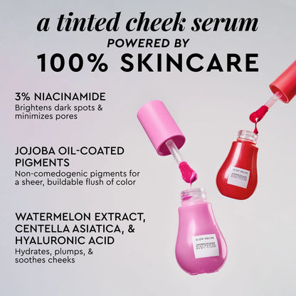 glow recipe Watermelon Glow Niacinamide Dewy Flush 12ml