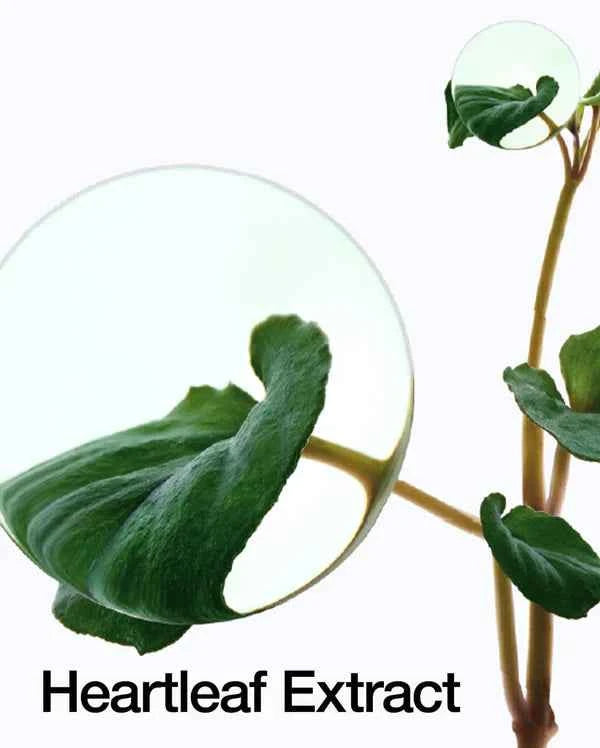 Anua Heartleaf 80 Moisture Soothing Ampoule 80% 30ml